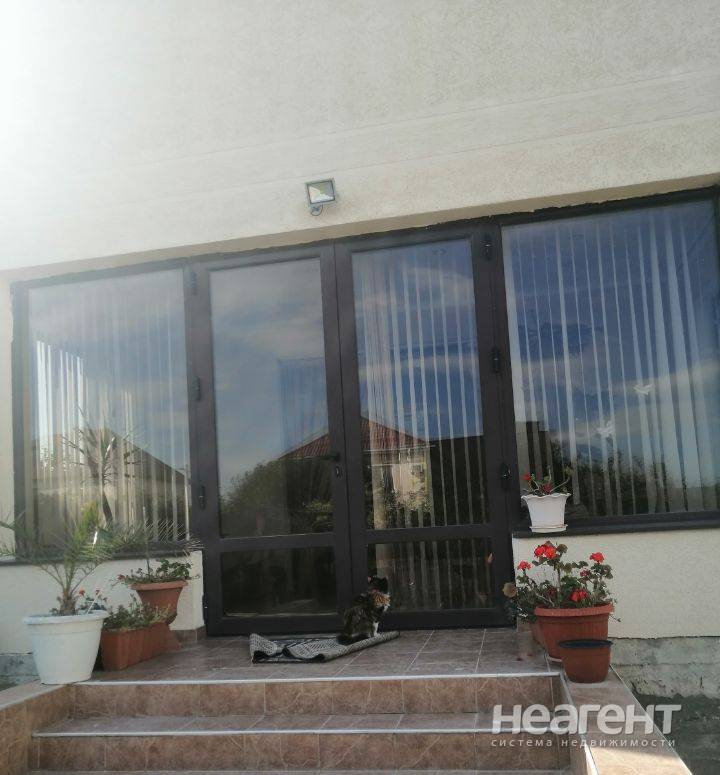 Фотография №3