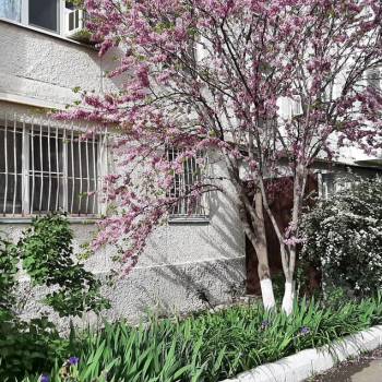 Продается 3-х комнатная квартира, 64 м²