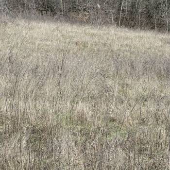 Продается Участок, 1200 м²