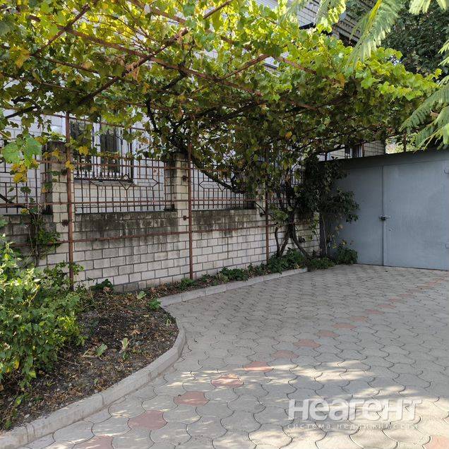 Фотография №3