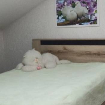 Продается 1-комнатная квартира, 36,3 м²