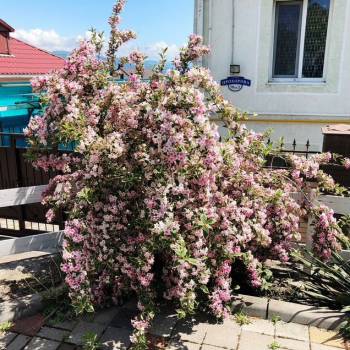 Продается Дом, 208 м²