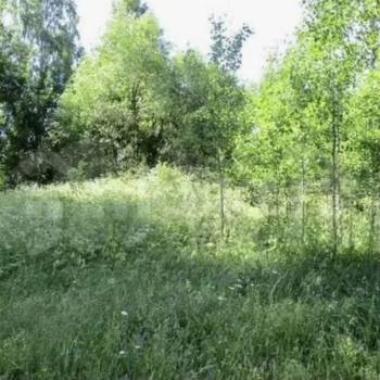 Продается Участок, 800 м²