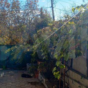 Продается Дом, 55 м²