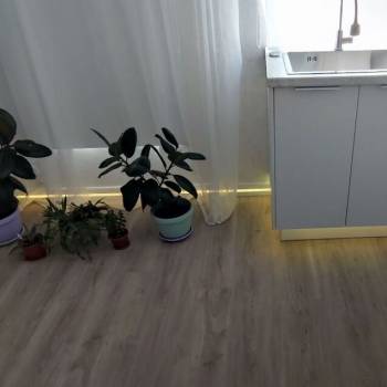 Продается 1-комнатная квартира, 24,4 м²
