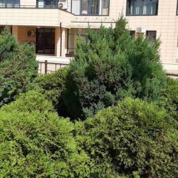 Сдается 1-комнатная квартира, 68 м²