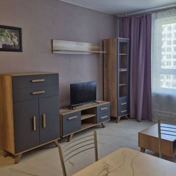 Сдается 1-комнатная квартира, 41,6 м²