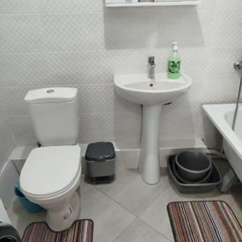 Сдается 1-комнатная квартира, 43 м²