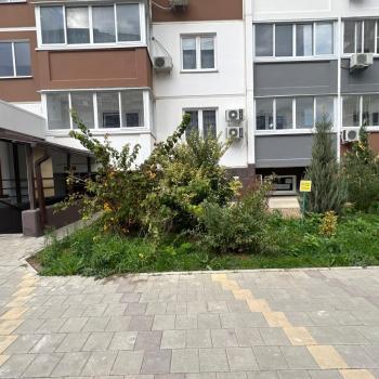 Сдается Нежилое помещение, 32 м²