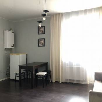 Сдается 1-комнатная квартира, 24,5 м²