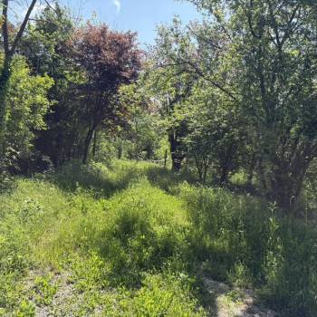 Продается Участок, 500 м²
