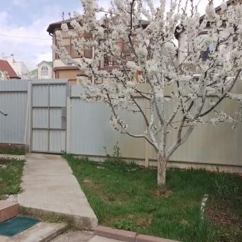 Продается Дом, 240 м²