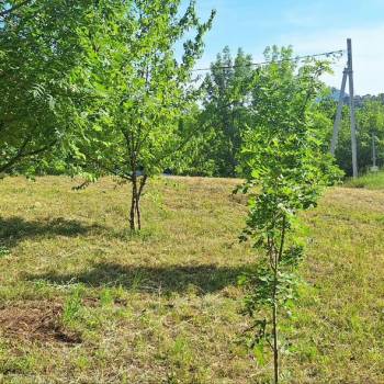 Продается Участок, 470 м²