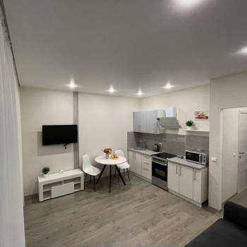 Сдается 1-комнатная квартира, 25,6 м²