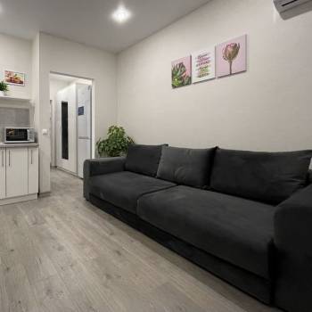 Сдается 1-комнатная квартира, 25,6 м²