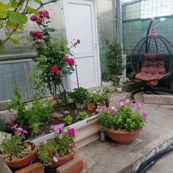 Продается Дом, 70 м²