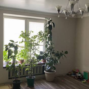 Продается Дом, 81 м²