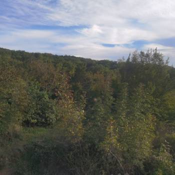 Продается Участок, 1000 м²