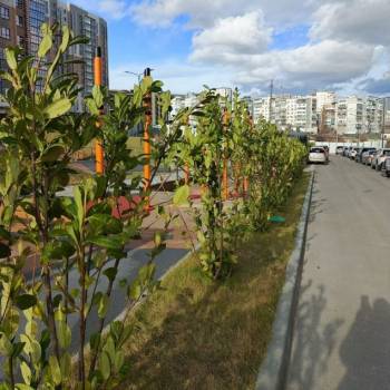 Продается 3-х комнатная квартира, 83,5 м²