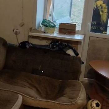 Продается 1-комнатная квартира, 36,5 м²