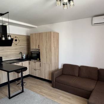 Сдается 1-комнатная квартира, 24,5 м²