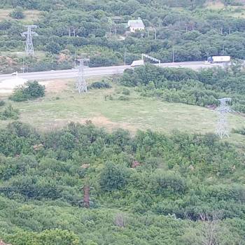 Продается Участок, 24950 м²