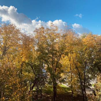 Сдается 1-комнатная квартира, 28,1 м²