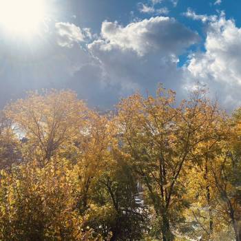 Сдается 1-комнатная квартира, 28,1 м²