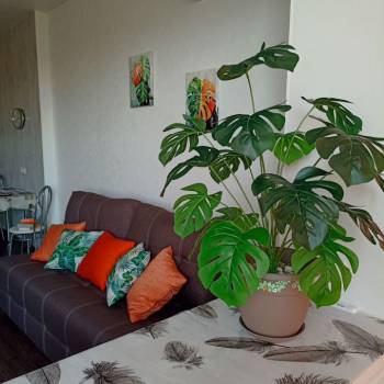 Сдается 1-комнатная квартира, 30 м²