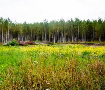 Продается Участок, 1000 м²