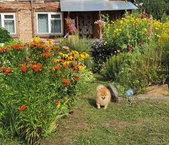 Продается Участок, 800 м²