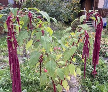 Продается Дом, 60 м²