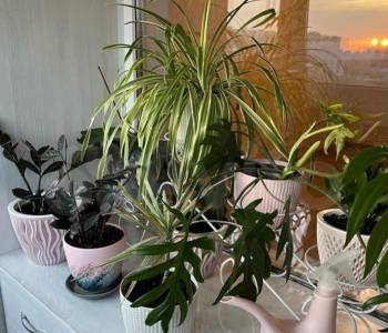 Продается 2-х комнатная квартира, 51 м²