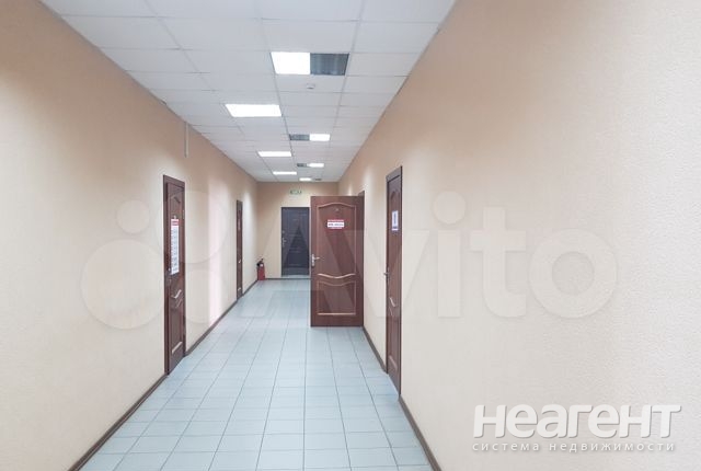 Фотография №3