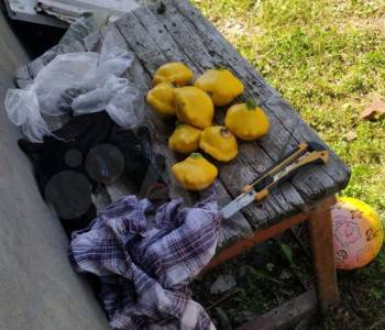 Продается Дом, 24 м²