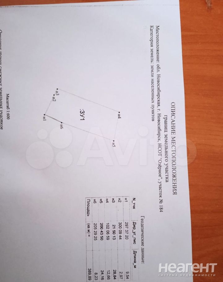 Фотография №4