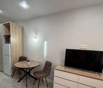 Сдается 1-комнатная квартира, 22,6 м²