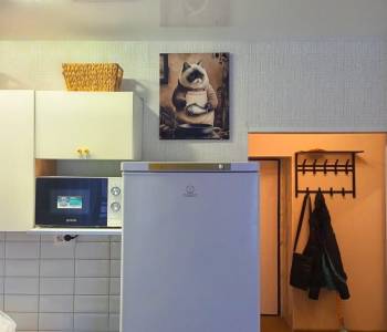 Сдается 1-комнатная квартира, 32 м²