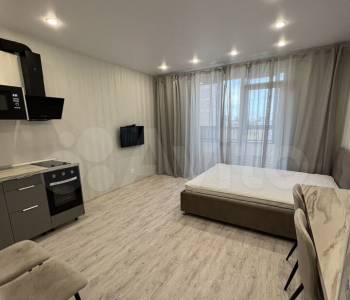 Продается 1-комнатная квартира, 26,2 м²