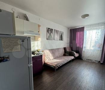 Продается 1-комнатная квартира, 24,3 м²