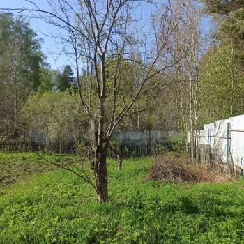 Продается Дом, 25 м²