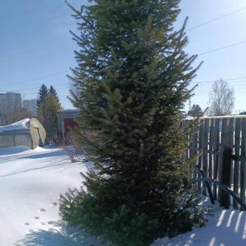 Продается Участок, 610 м²