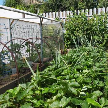 Продается Дом, 56 м²