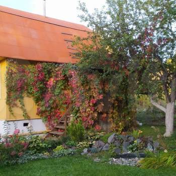 Продается Дом, 56 м²