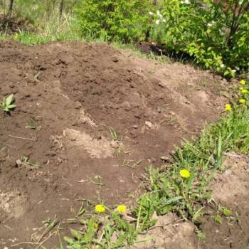 Продается Участок, 600 м²