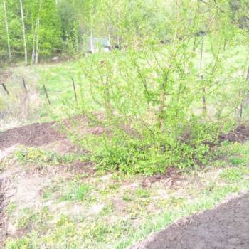 Продается Участок, 600 м²