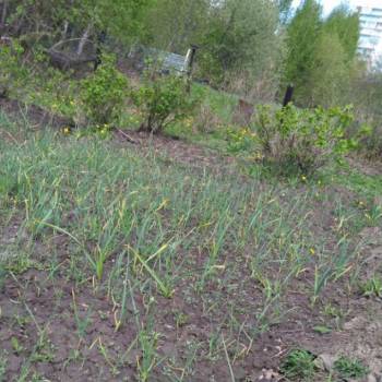 Продается Участок, 600 м²