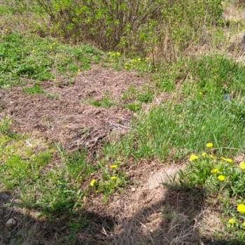 Продается Участок, 600 м²