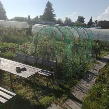 Продается Дом, 25 м²