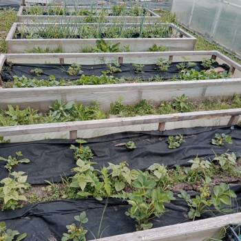 Продается Дом, 25 м²